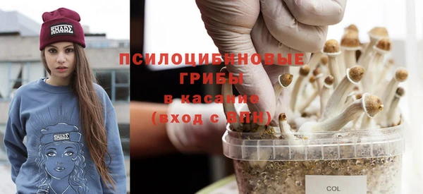 прущий лед Алексеевка