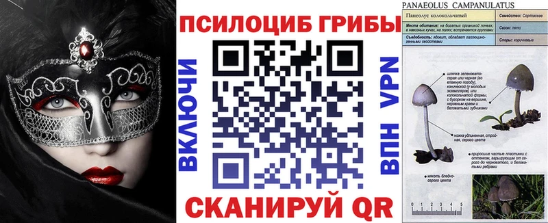 Псилоцибиновые грибы GOLDEN TEACHER  купить   Медынь 